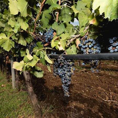 Antico Borgo Molino 7Cento Vicino Ai Giardini Di Ninfa Otel Cori Dış mekan fotoğraf